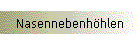 Nasennebenhöhlen